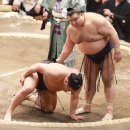 (기사) 요코즈나 호쇼류 휴장 관련 기사 종합 이미지