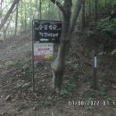 참새골민박