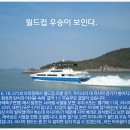 압해도포차 Daum카페