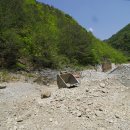 김씨네민박 이미지