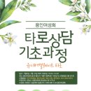 타로의 기초 이미지