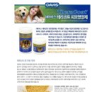 ◈고양이 용품 - 테라코트 (피모 영양제), 고양이, 강아지 영양제