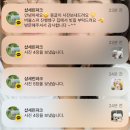 샵 세린파크 | 방배 샵세린파크 : 포메라니안 곰돌이컷 잘하는...미용샵 (가격, 미용전후, 매장내부, 주차, 선생님 후기)