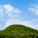 산들해 Daum카페