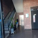 삼천포최옥순물회 이미지