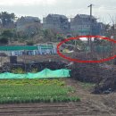 비석축산 이미지