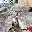 동림119안전센터 이미지