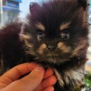 베이비멍 이미지