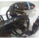 (주)박상 이미지