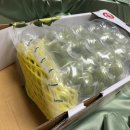 삼일농장 | 삼일농원 샤인머스캣, 달콤한 맛에 반한 솔직 후기 [내돈내산]