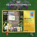 kyo야 사랑니는 빼봤니~
