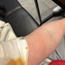 수미가통돼지 | 엉망진창 얼렁뚱땅