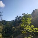 광현농장 이미지