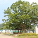 김삿갓 문학동산 시 이미지