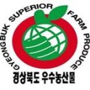 안동농협 농산물유통센터 이미지