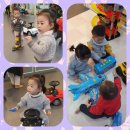 카페라율