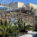 신흥민박 이미지