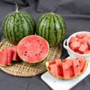 백현마을2단지 이미지