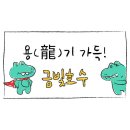 금빛호수 태권도 이미지