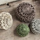 Pine cone 이미지
