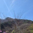 대룡산오토캠핑장