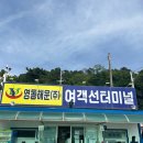[통영 -&gt; 욕지도] 영동해운 배편 이용 후기! 🛳️