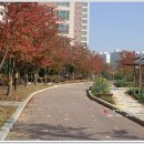 이서부동산중개사무소 이미지