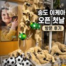 이케아 | 송도 이케아 오픈 | 도심형 이케아 직접 다녀온 방문 후기