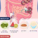 대장내시경 전 음식 전날 하루 전 용종제거 후 식사 라면 카스테라 음료 우유 커피 이미지