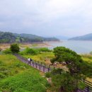 조용철농장 네이버블로그