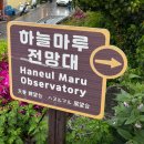 입구기타 | [부산여행]알록달록한 감천문화마을, 하늘마루전망대, 감내별마루체육센터(feat.감천문화마을카페추천)