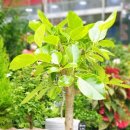 정석그린프라자 이미지