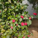 스피드메이트 진흥청점 | 봄차량정비 스피드메이트 엔진오일교환 멤버십 혜택 쪼아~