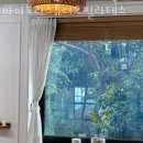 신사동요가 아이보리스튜디오필라테스 주차 방문자 후기