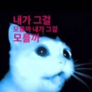 바비PC | 돌아가기엔 이미 너무 많이 와버렸고 버리기에는 차마 아까운 시간 (11.03 ~ 11.09)