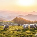 봄그리고가을가족호텔 이미지