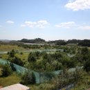 코리아 게임장 이미지