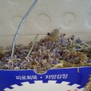 동일건재 이미지