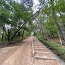 솔마루 작은도서관 이미지