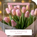프라자피부관리실
