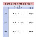 용인대 챔피언 유도관 이미지