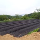 새서울농장 이미지