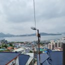 도도킹코리아 이미지