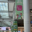 580 | 중국 난징행 MU580 (KE5859) 후기