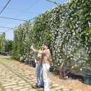 거제시농업개발원 이미지