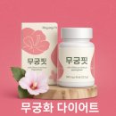 무궁화사 | 무궁핏 부작용 무궁화 다이어트 후기 체크하기