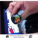 꼬마야 소풍가자 이미지