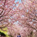 만수노인복지원 이미지