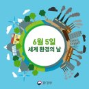 52 이미지