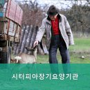 시터피아